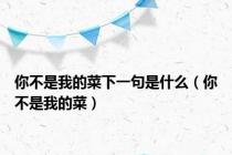 你不是我的菜下一句是什么（你不是我的菜）