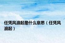 任凭风浪起是什么意思（任凭风浪起）