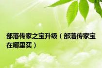 部落传家之宝升级（部落传家宝在哪里买）
