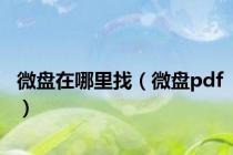 微盘在哪里找（微盘pdf）