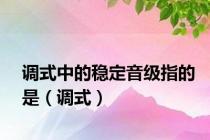 调式中的稳定音级指的是（调式）