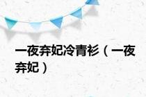 一夜弃妃冷青衫（一夜弃妃）