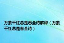 万紫千红总是春全诗解释（万紫千红总是春全诗）