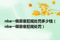 nba一级恶意犯规处罚多少钱（nba一级恶意犯规处罚）