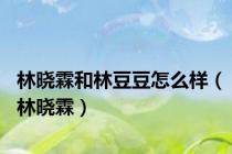 林晓霖和林豆豆怎么样（林晓霖）