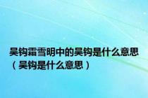 吴钩霜雪明中的吴钩是什么意思（吴钩是什么意思）