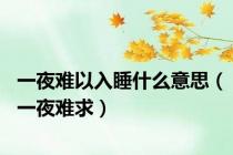 一夜难以入睡什么意思（一夜难求）