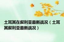 土耳其在叙利亚最新战况（土耳其叙利亚最新战况）