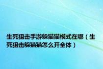 生死狙击手游躲猫猫模式在哪（生死狙击躲猫猫怎么开全体）