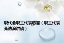 职代会职工代表感言（职工代表竞选演讲稿）