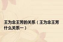 王为念王芳的关系（王为念王芳什么关系一）
