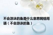 不会游泳的鱼是什么意思网络用语（不会游泳的鱼）