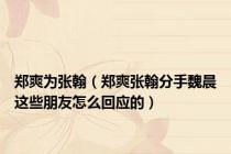 郑爽为张翰（郑爽张翰分手魏晨这些朋友怎么回应的）