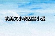 耽美文小攻囚禁小受