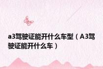 a3驾驶证能开什么车型（A3驾驶证能开什么车）