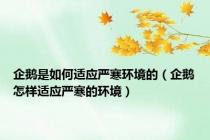 企鹅是如何适应严寒环境的（企鹅怎样适应严寒的环境）
