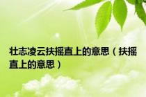 壮志凌云扶摇直上的意思（扶摇直上的意思）