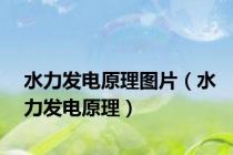 水力发电原理图片（水力发电原理）
