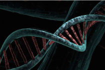 DNA成为我们构建先进多面体纳米颗粒的双手