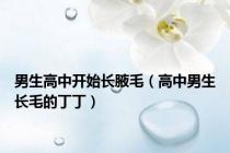 男生高中开始长腋毛（高中男生长毛的丁丁）