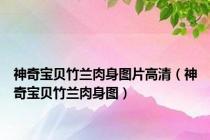 神奇宝贝竹兰肉身图片高清（神奇宝贝竹兰肉身图）