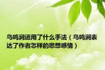 鸟鸣涧运用了什么手法（鸟鸣涧表达了作者怎样的思想感情）