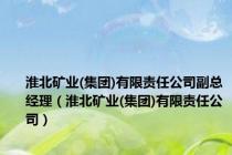 淮北矿业(集团)有限责任公司副总经理（淮北矿业(集团)有限责任公司）