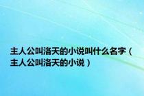 主人公叫洛天的小说叫什么名字（主人公叫洛天的小说）