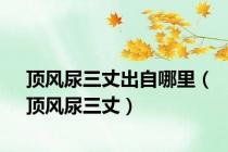 顶风尿三丈出自哪里（顶风尿三丈）