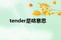 tender是啥意思