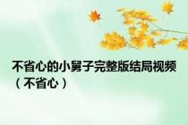 不省心的小舅子完整版结局视频（不省心）