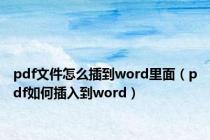 pdf文件怎么插到word里面（pdf如何插入到word）