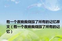 有一个夜晚我烧毁了所有的记忆原文（有一个夜晚我烧毁了所有的记忆）