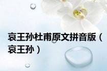 哀王孙杜甫原文拼音版（哀王孙）