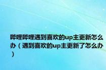 哔哩哔哩遇到喜欢的up主更新怎么办（遇到喜欢的up主更新了怎么办）