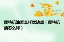 摩特机油怎么样优缺点（摩特机油怎么样）