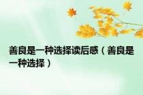 善良是一种选择读后感（善良是一种选择）