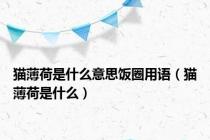 猫薄荷是什么意思饭圈用语（猫薄荷是什么）