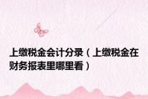 上缴税金会计分录（上缴税金在财务报表里哪里看）