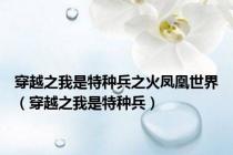 穿越之我是特种兵之火凤凰世界（穿越之我是特种兵）