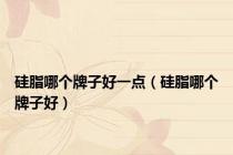 硅脂哪个牌子好一点（硅脂哪个牌子好）