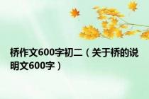 桥作文600字初二（关于桥的说明文600字）