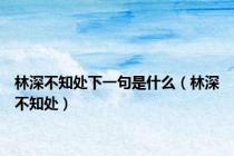 林深不知处下一句是什么（林深不知处）