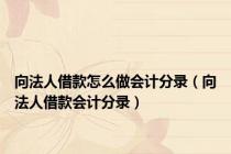 向法人借款怎么做会计分录（向法人借款会计分录）