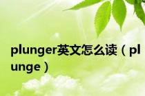 plunger英文怎么读（plunge）