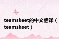 teamskeet的中文翻译（teamskeet）