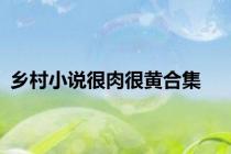 乡村小说很肉很黄合集