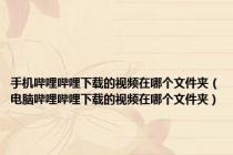 手机哔哩哔哩下载的视频在哪个文件夹（电脑哔哩哔哩下载的视频在哪个文件夹）