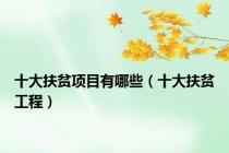 十大扶贫项目有哪些（十大扶贫工程）