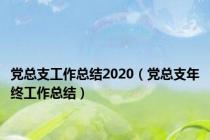 党总支工作总结2020（党总支年终工作总结）